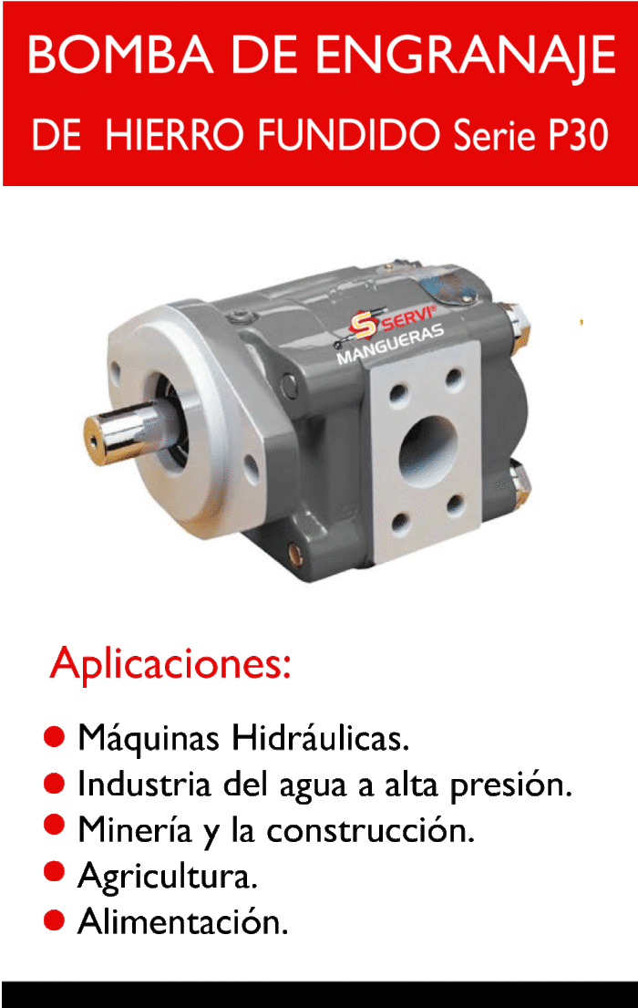 I BOMBA DE ENGRANAJE DE  HIERRO FUNDIDO Serie P30
